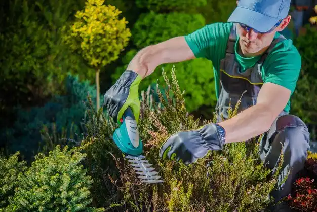 landscaping services Tiltonsville